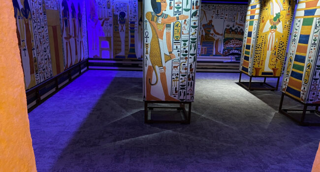 Museum of Natural Science – Nefertari’s Tomb (1)