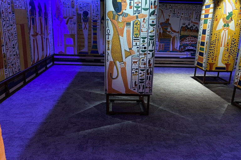 Museum of Natural Science – Nefertari’s Tomb (1)